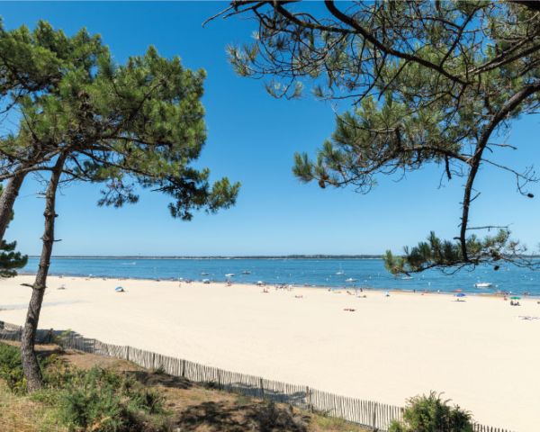 Plage de sable clair bordée par des pins avec vue sur une mer calme sous un ciel bleu clair, quelques personnes se détendent au bord de l'eau.