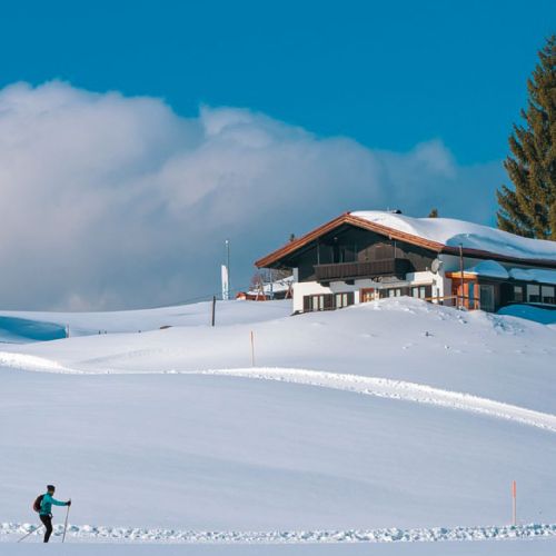 Un skieur solitaire en ski de fond traverse un vaste paysage enneigé avec une maison en bois sur une colline et un grand arbre sapin à côté, sous un ciel bleu clair avec quelques nuages.