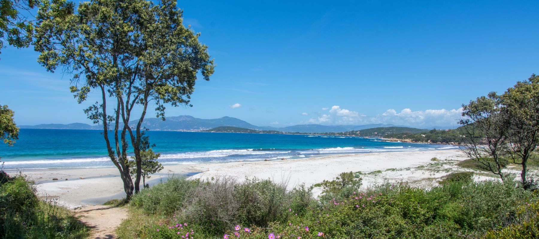 Plage de sable blanc bordée d'arbres et de buissons avec des fleurs violettes, mer bleu turquoise calme et montagnes à l'horizon sous un ciel bleu clair avec quelques nuages.