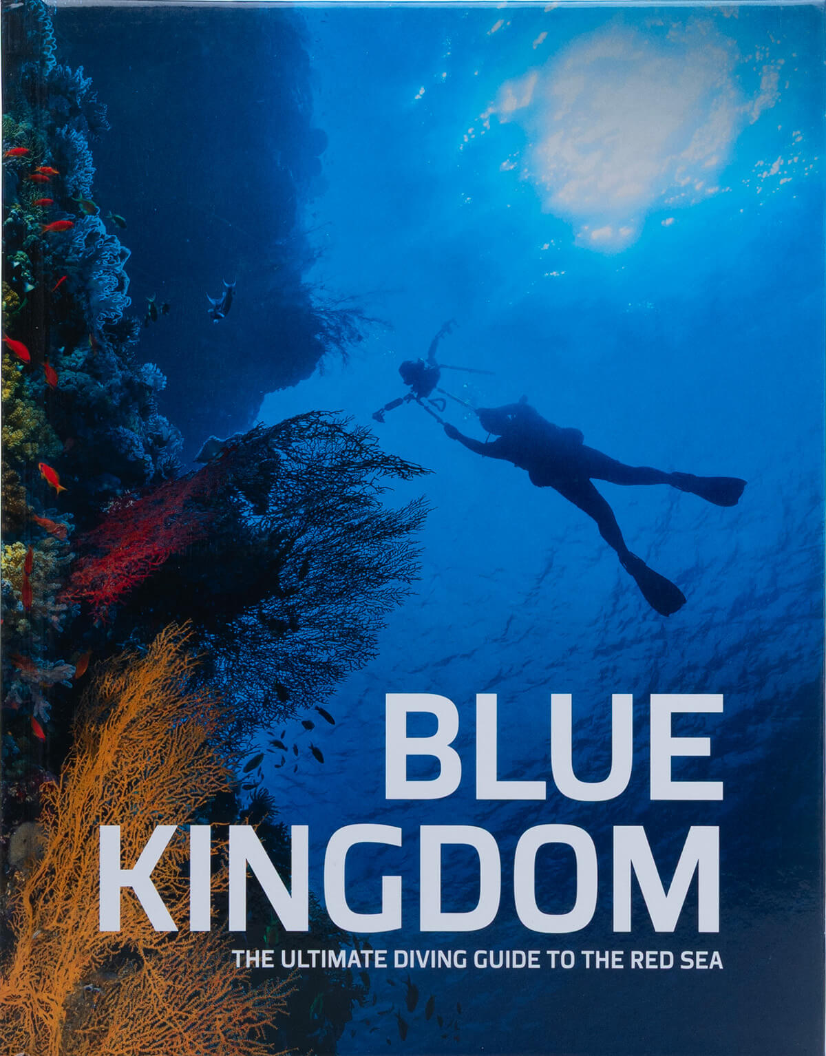 Blue kingdom