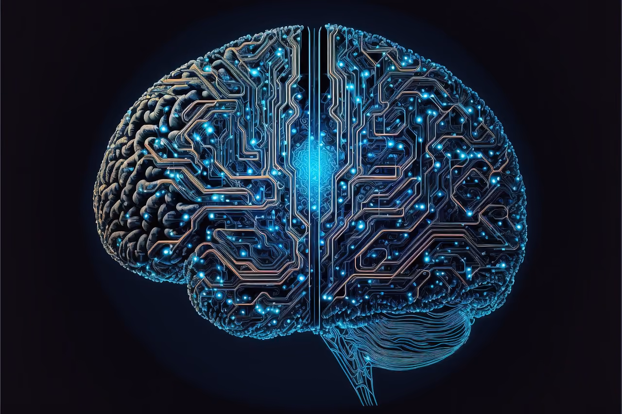 Free Cyber Brain Computer photo and picture