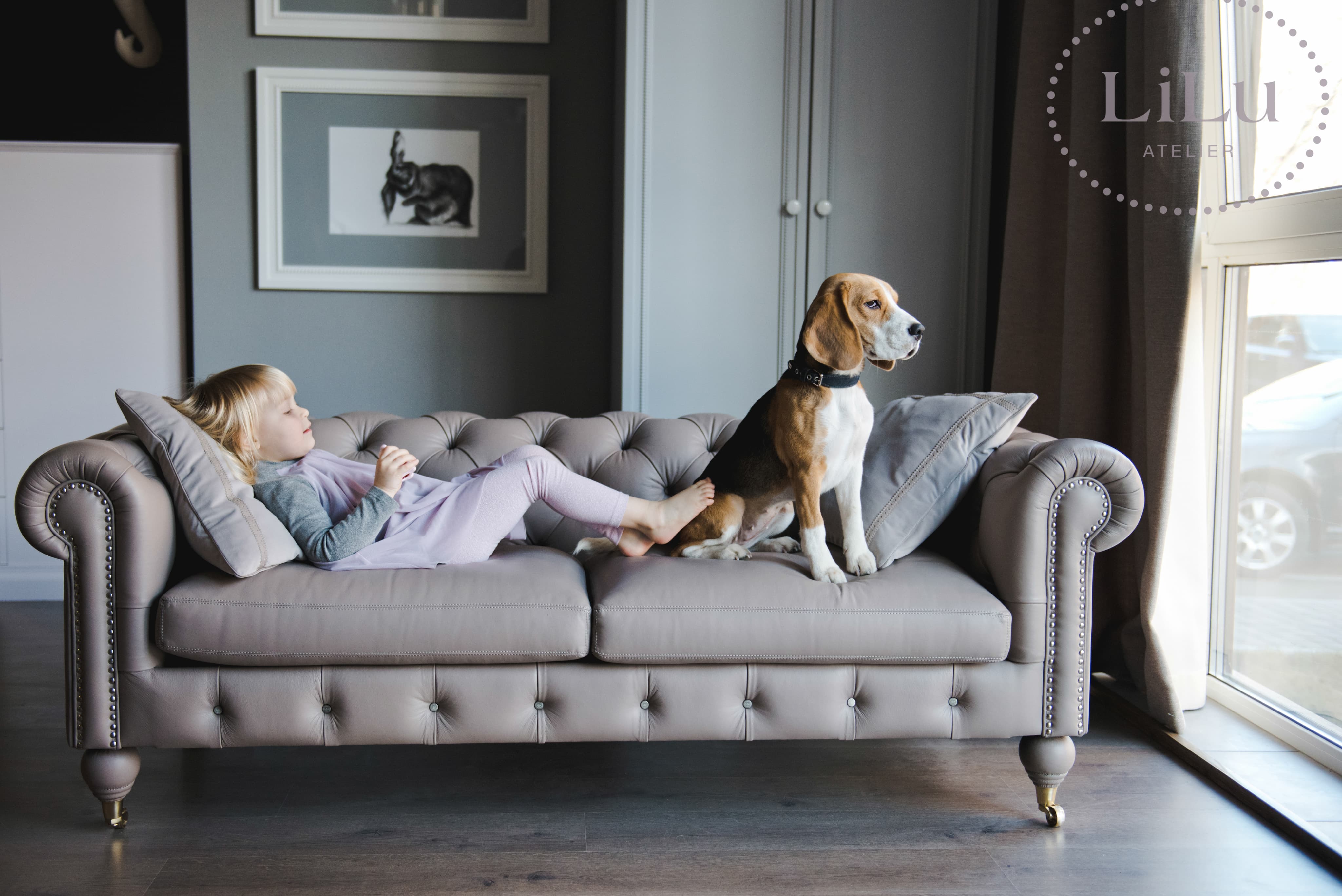 child and dog on a beautiful stylish sofa
