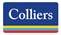 OE logo