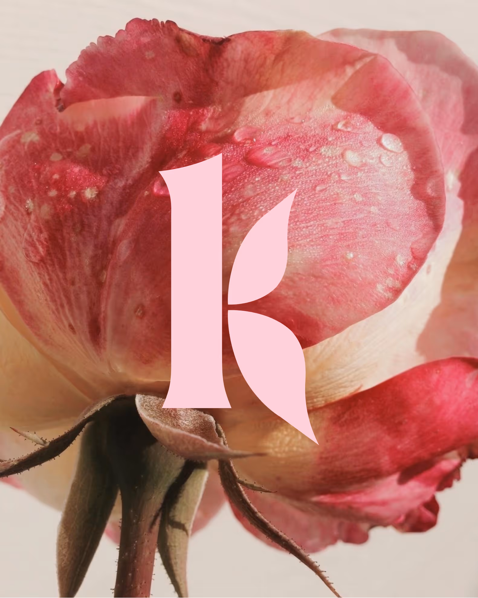 Signature visuelle "K" avec les ailes de fée
