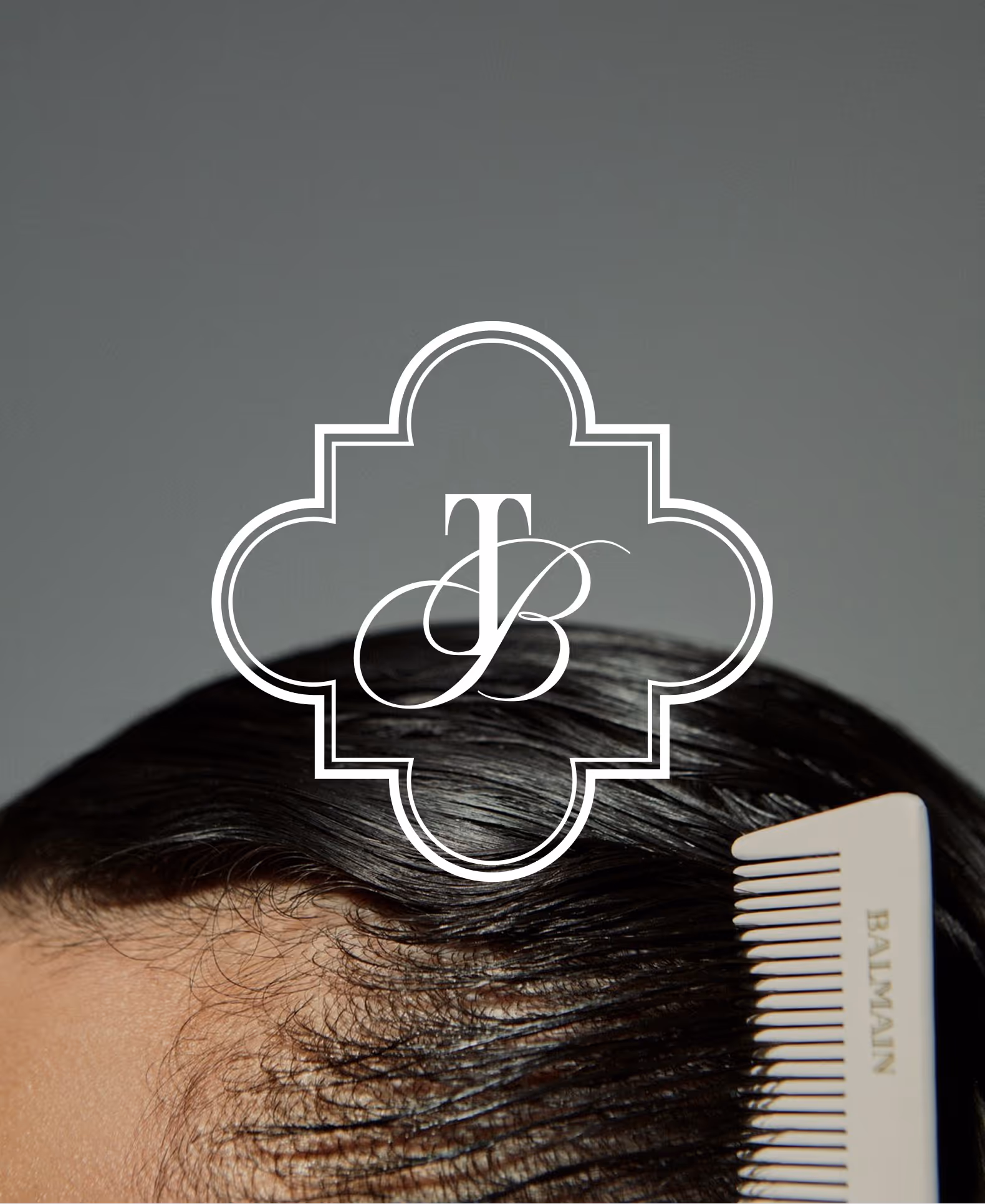Logo secondaire TB