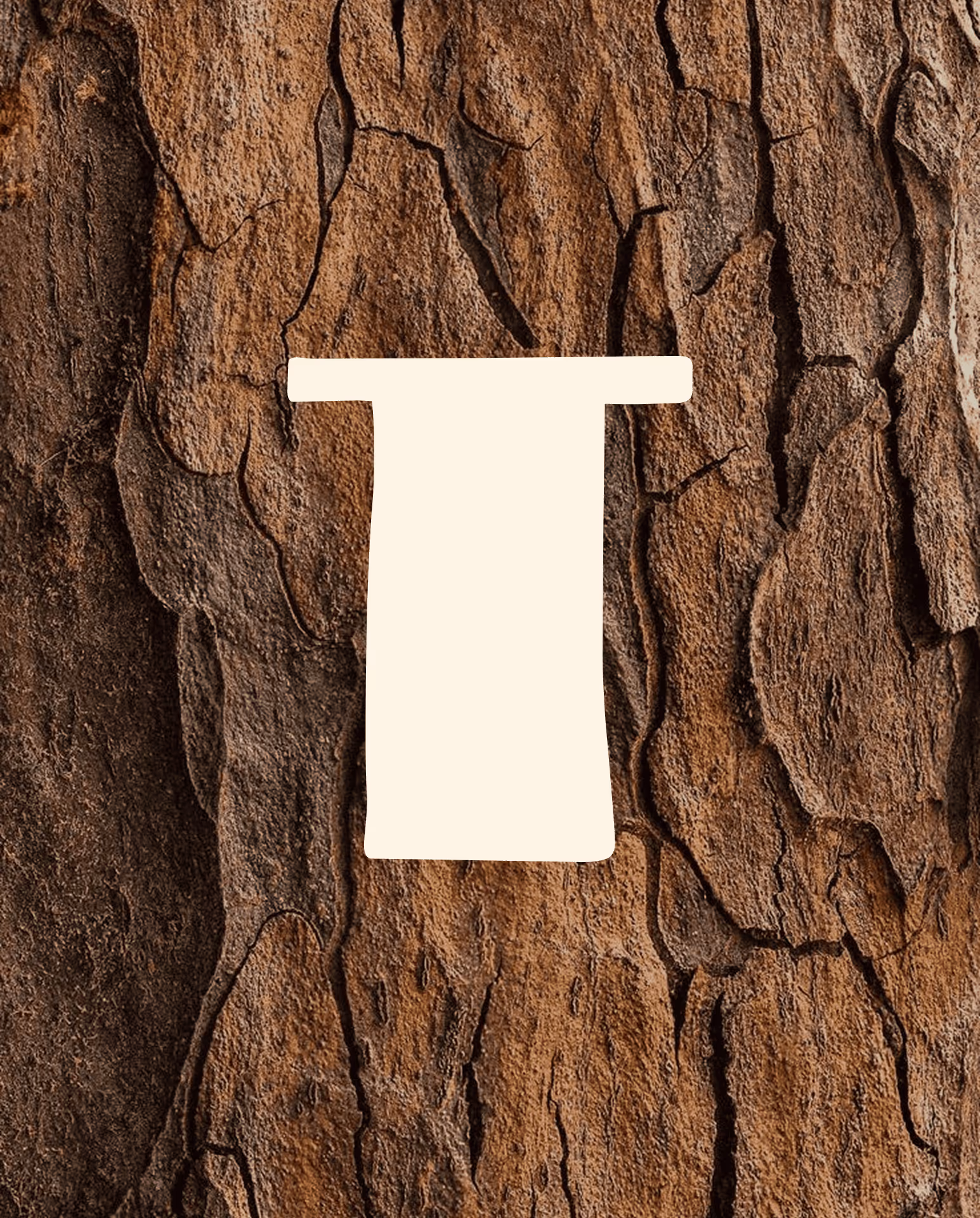 LOGO SECONFAIRE LA TALIER DE NOÉMIE "T"