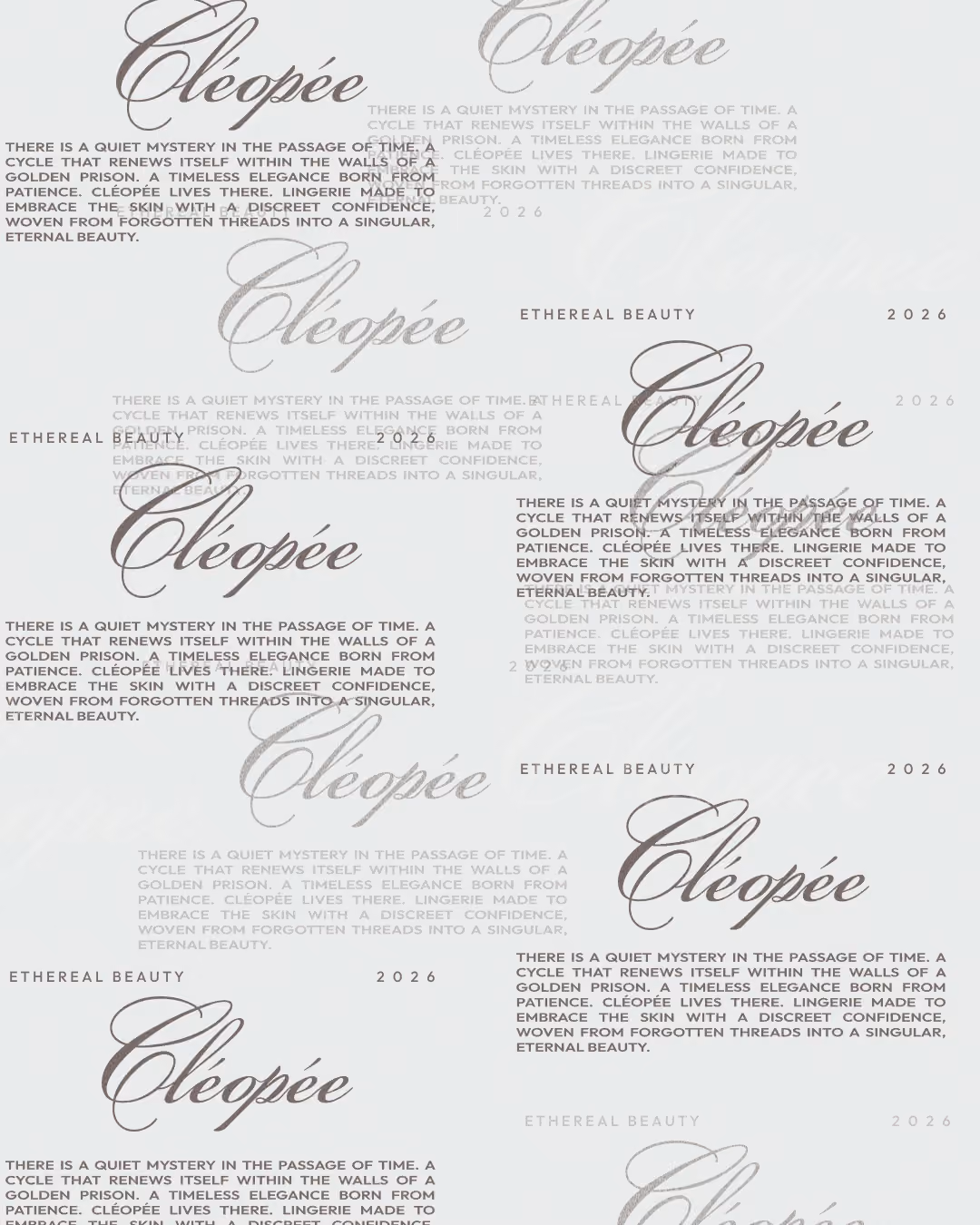 Exemple d'application de l'identité visuelle pour Cléopée