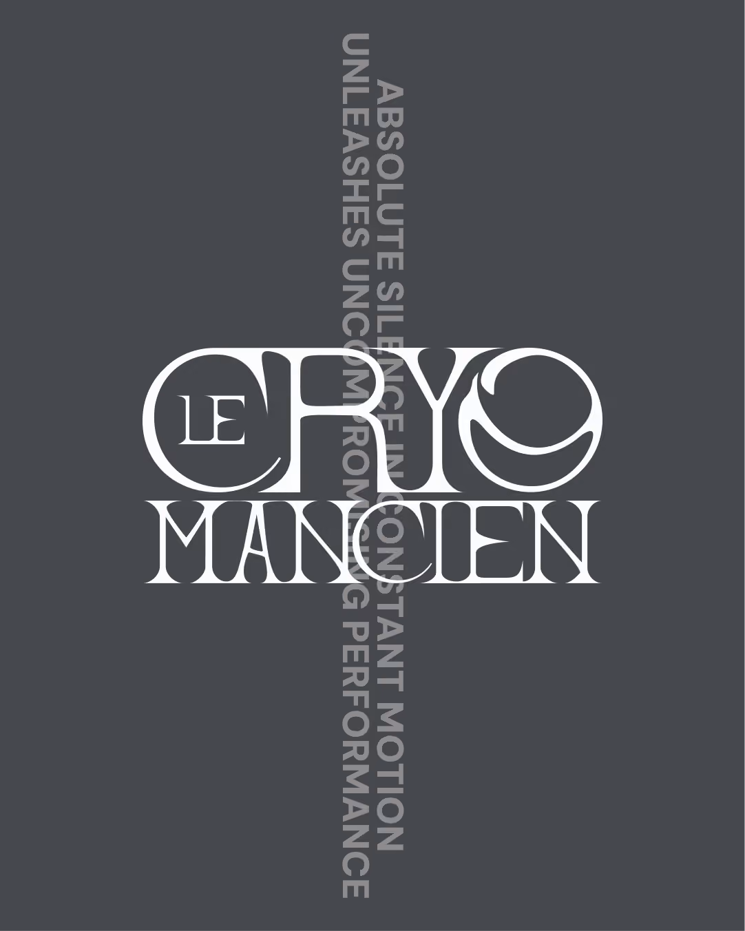 Exemple d'application de l'identité visuelle pour Le Cryomancien