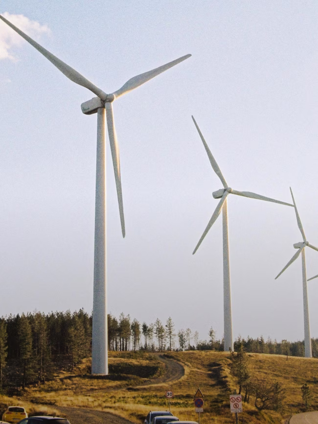 Three large white wind turbines standing on a grassy hillside with a forest in the background under a clear sky.