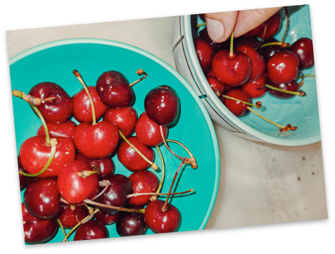 Bowls of fresh cherries