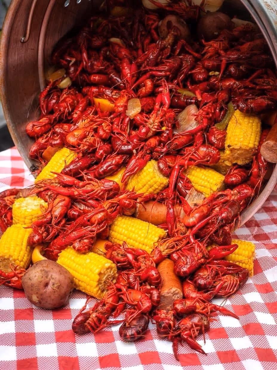 Boiled crawfish, corn on the cob, potatoes, and carrots spilling from a metal pot on a checkered cloth.