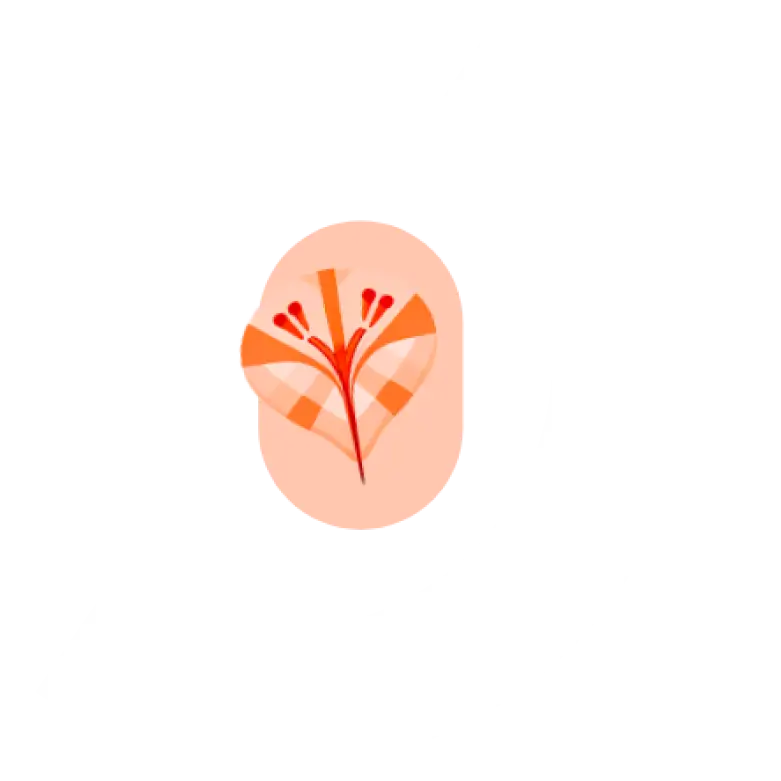 Stylized orange flower with red stamens inside a light orange oval, surrounded by a white curved shape on a black background.