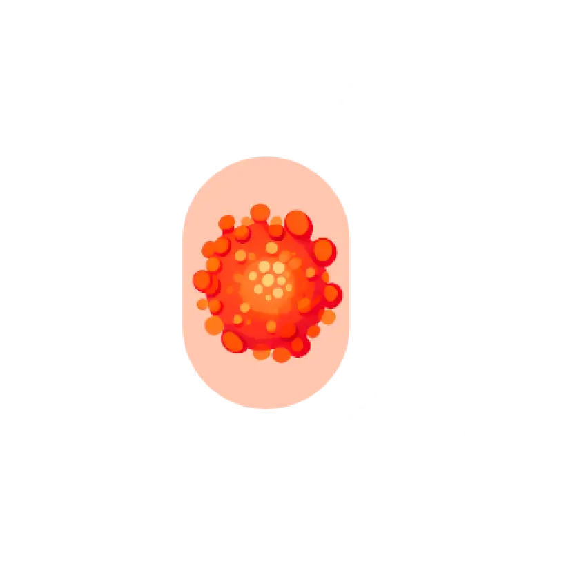 Illustration of a red and orange virus particle shaped like a circle with smaller circles inside it, on a light background.