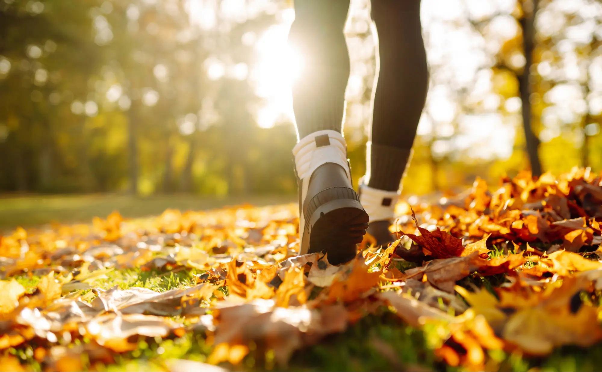 Someone’s out for a run in the sunshine, weaving through fallen autumn leaves.