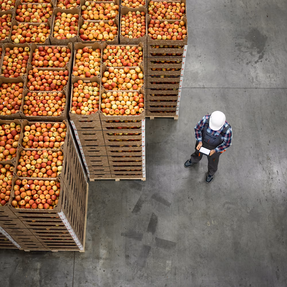 Warehouse worker with a tablet inspecting stacked crates of apples from above, checking supply chain quality