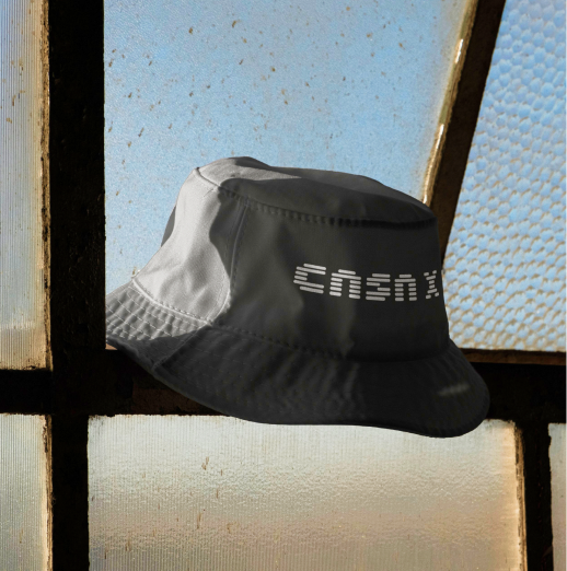 Casa X