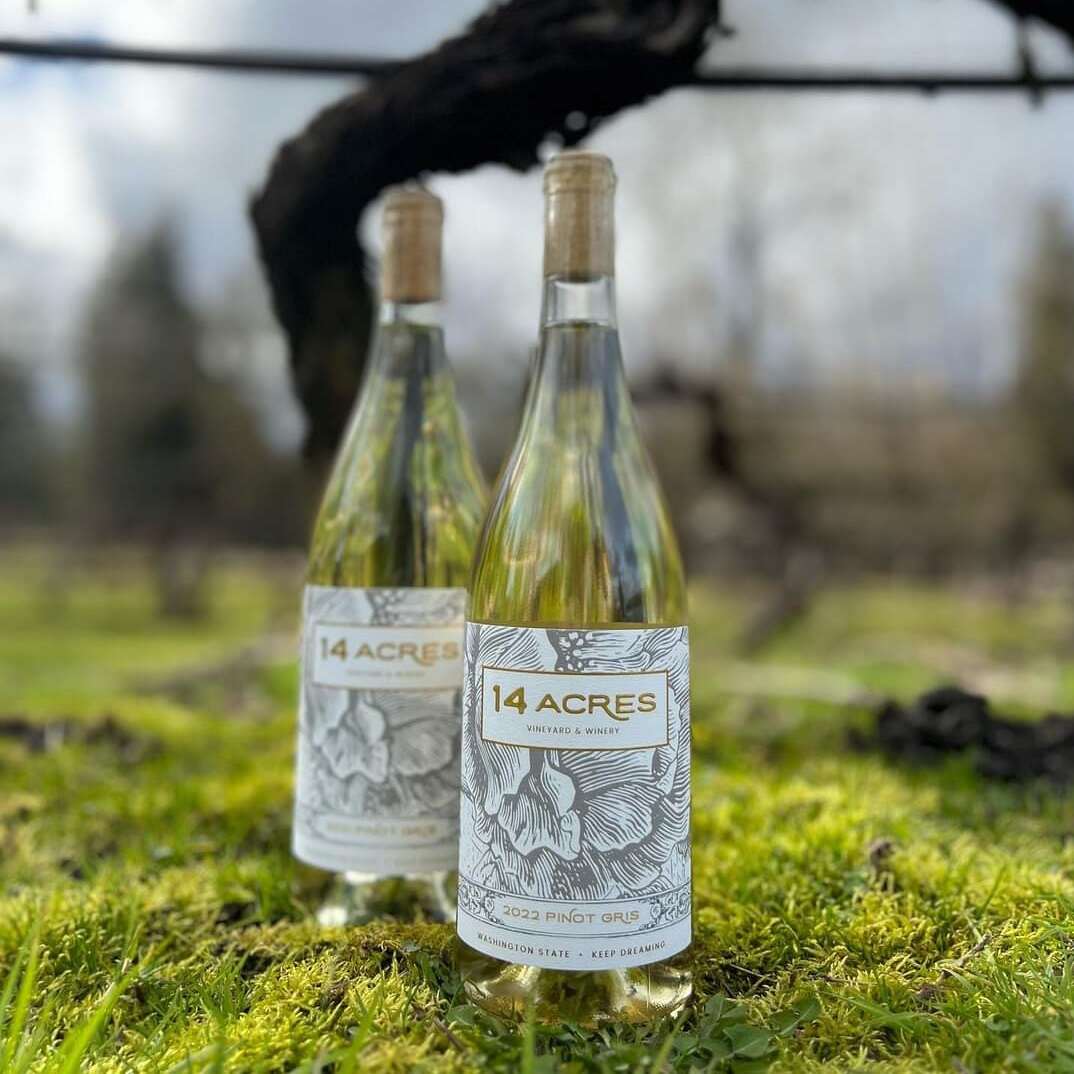 Two bottles of 14 Acres white wine standing on moss beside an old vine in the vineyard