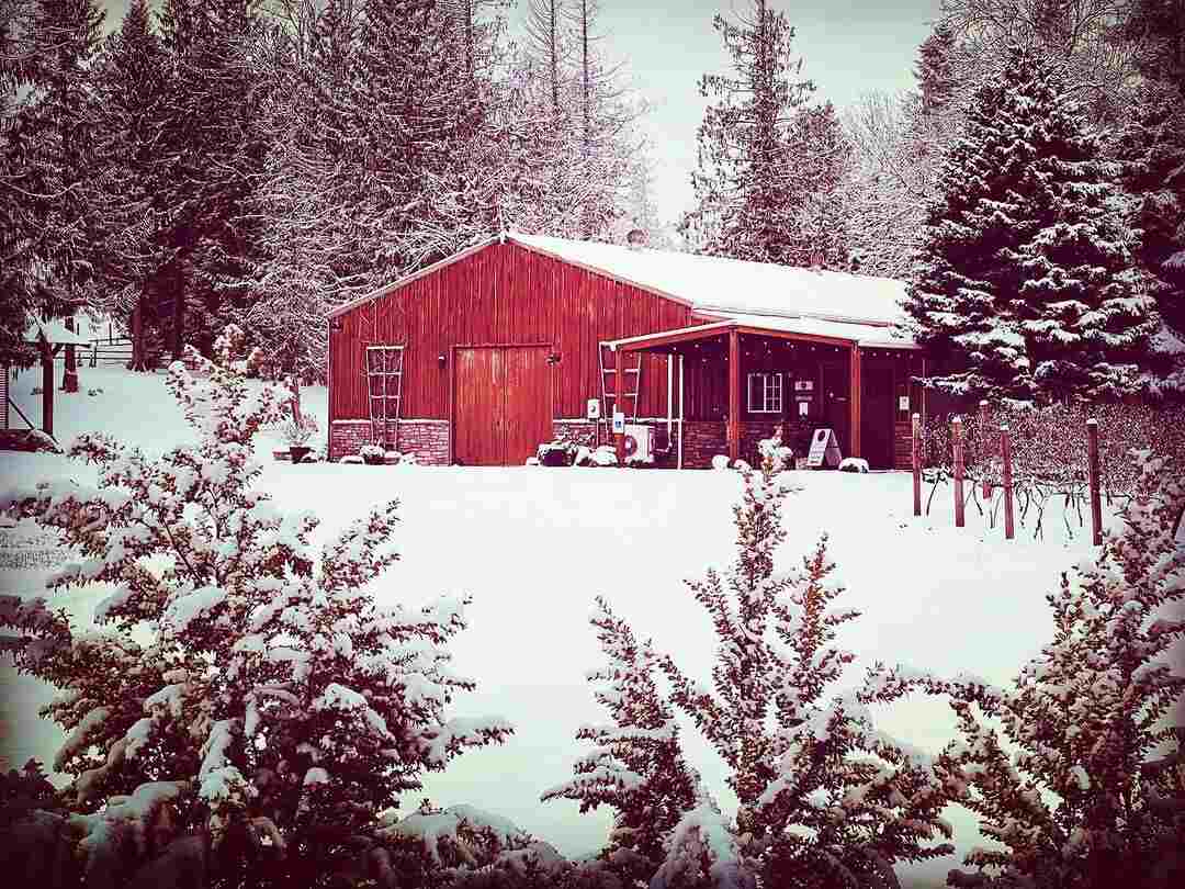 The red barn at 14 Acres surrounded by snow-covered evergreens in winter