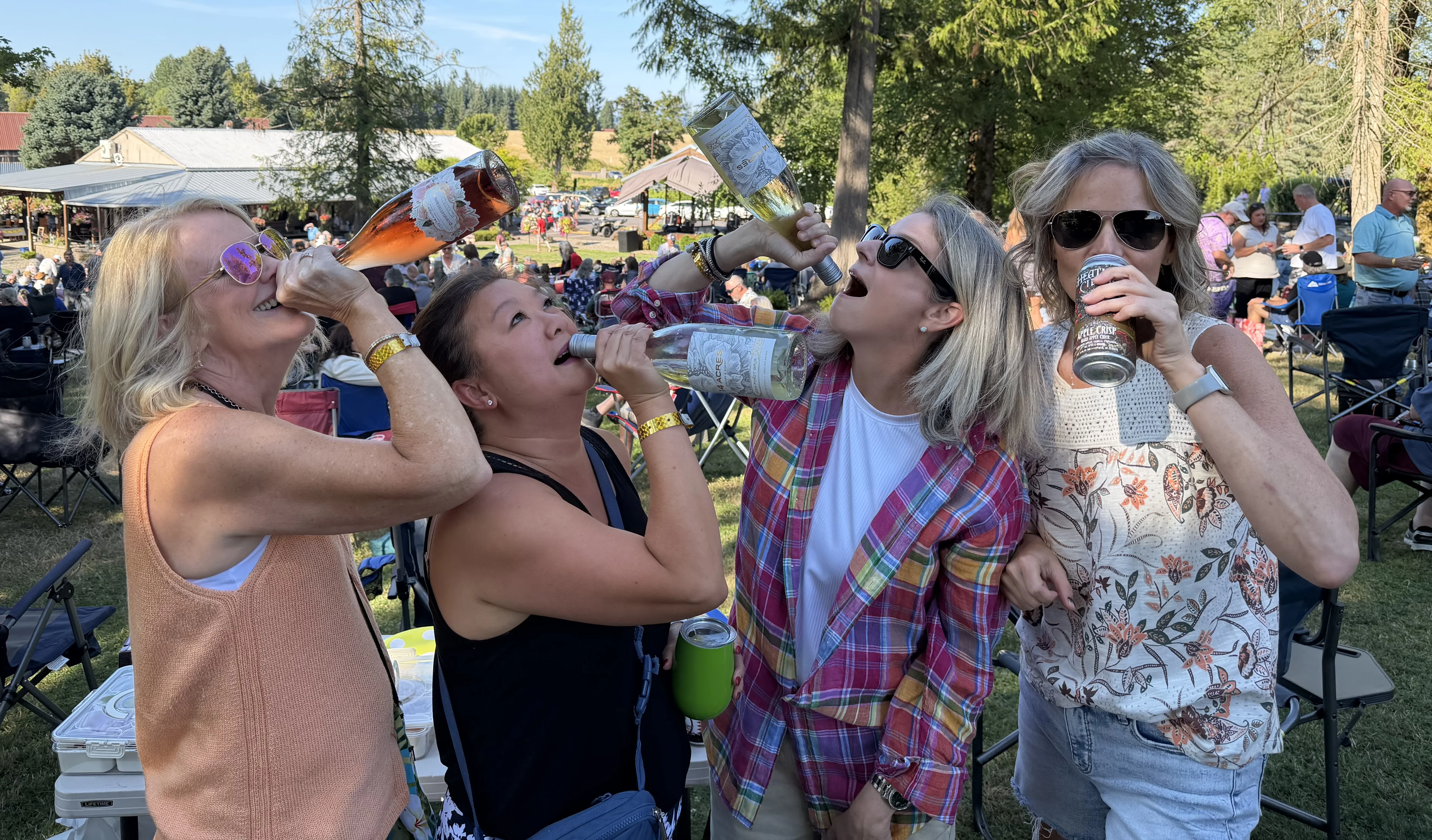 Four friends on the lawn at a 14 Acres summer concert, laughing and tipping back bottles of 14 Acres wine and a cider, with the concert crowd behind them