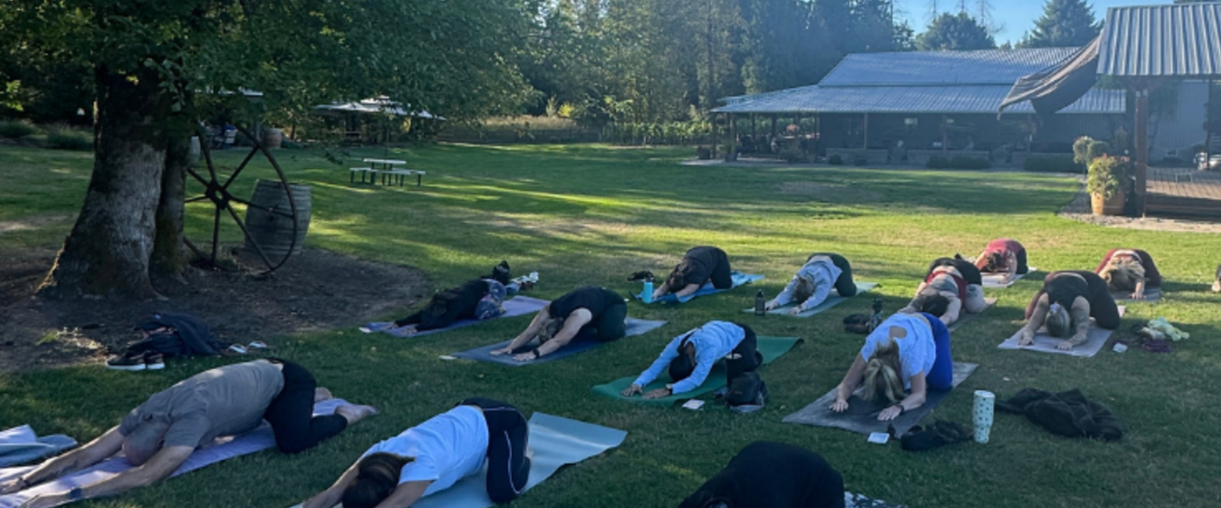 Guests on yoga mats in the tasting room at 14 Acres Vineyard & Winery