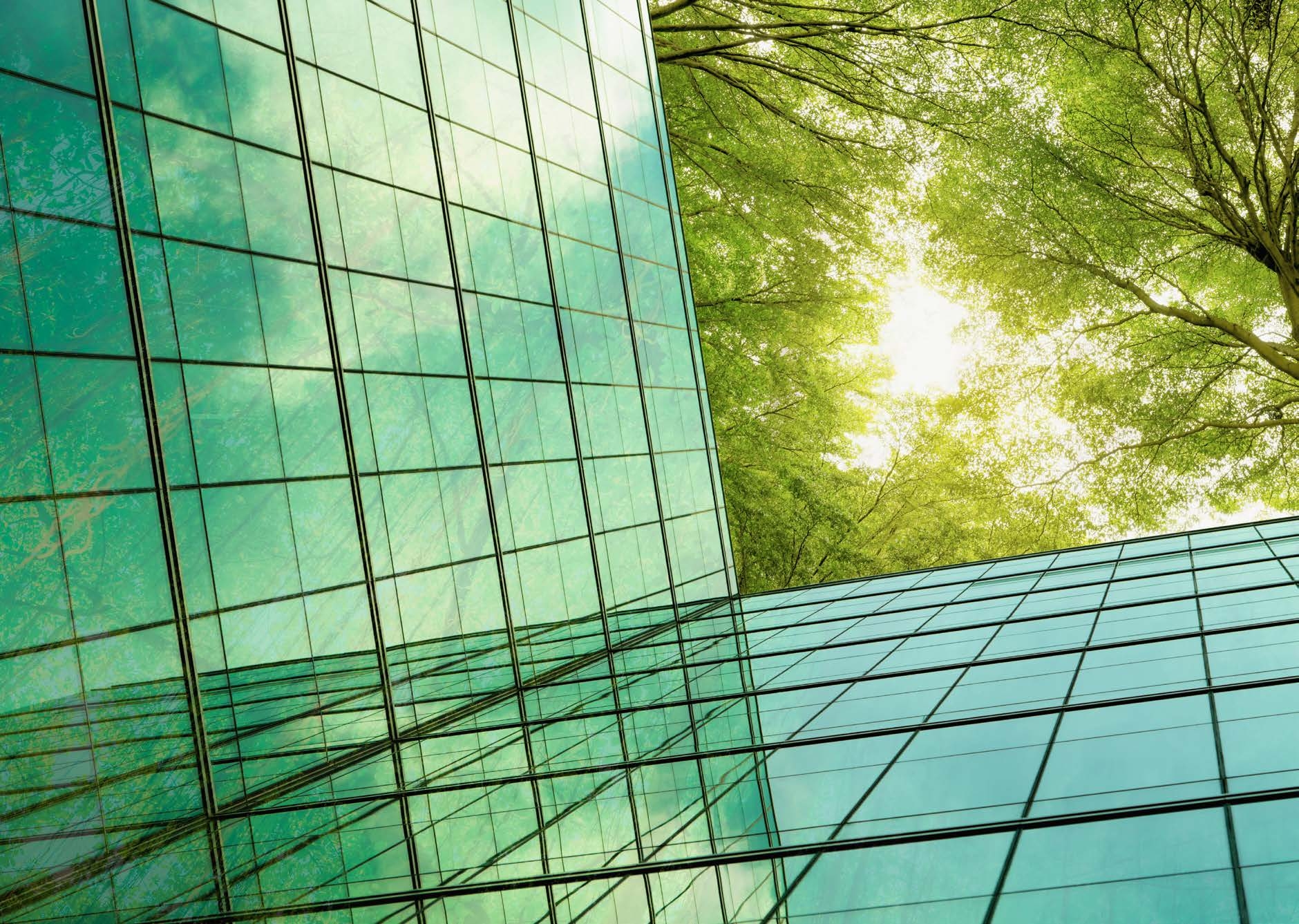 Green-tinted glass office building facade reflecting trees against the sky, symbolizing corporate sustainability