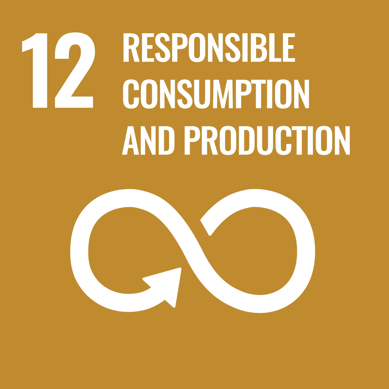 United Nations Sustainable Development Goal 12 icon for responsible consumption and production