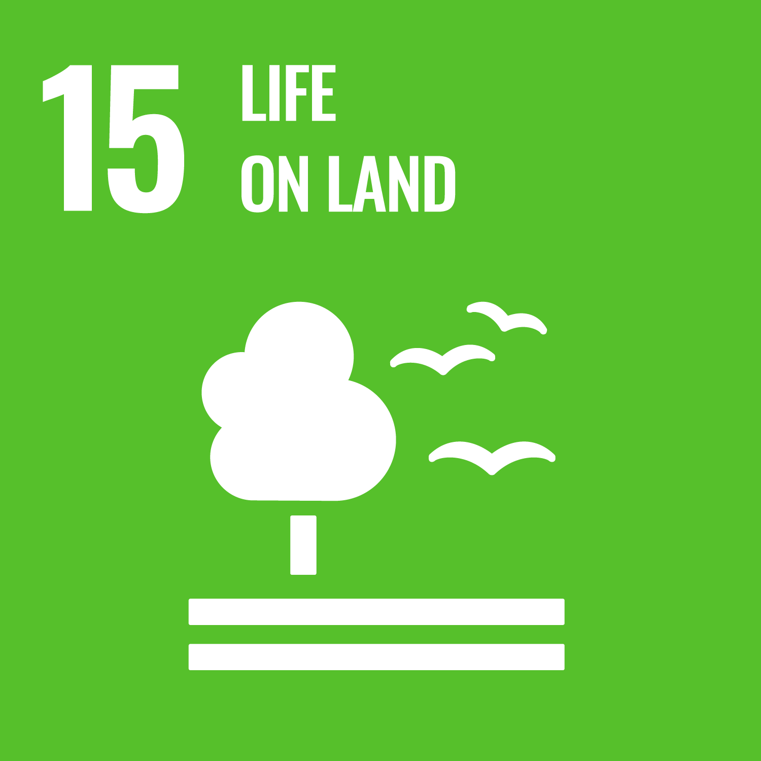 UN Sustainable Development Goal 15 icon, Life on Land, tree and birds on green