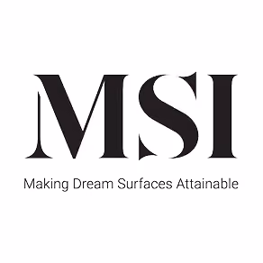 MSI Logo
