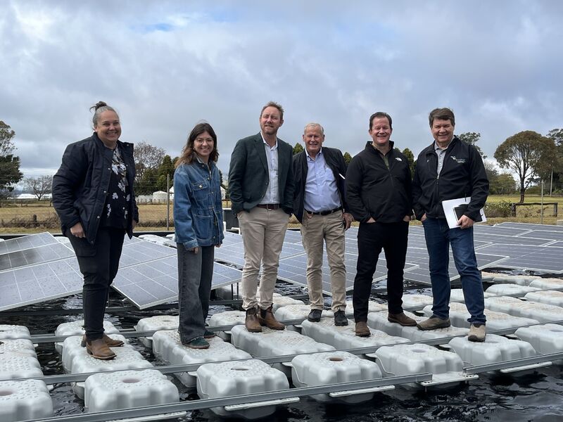 A group visits a floating solar installation during the Queensland delegation program.