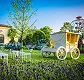 White vintage bicycle on grass near lavender flowers with blue sky and trees in background.