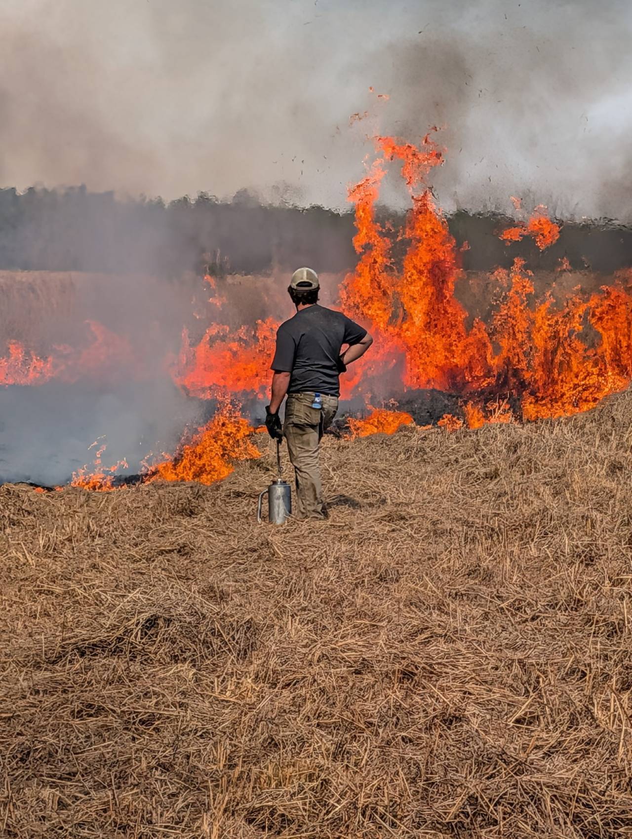 Prescribed Fire