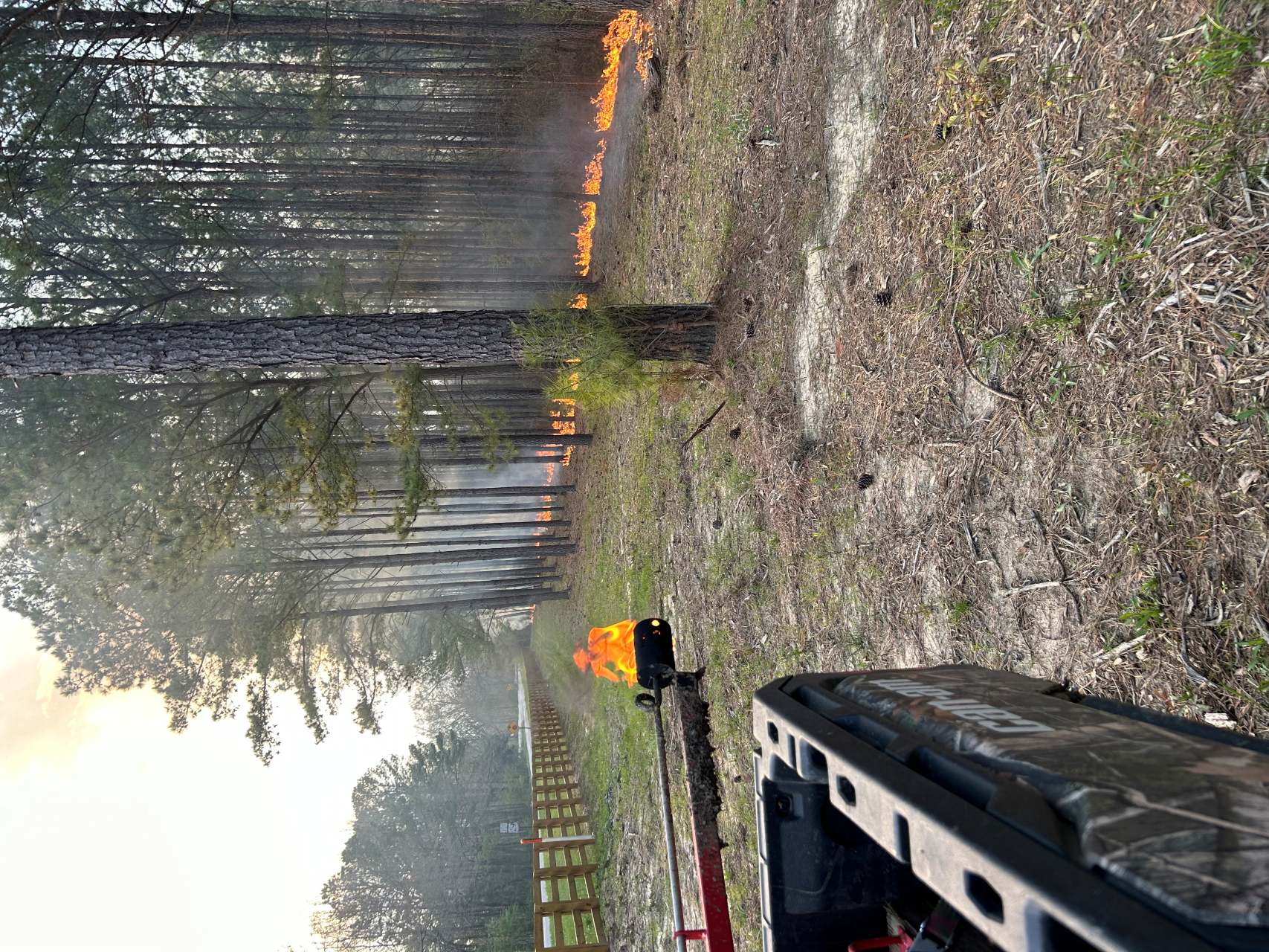 Prescribed Fire