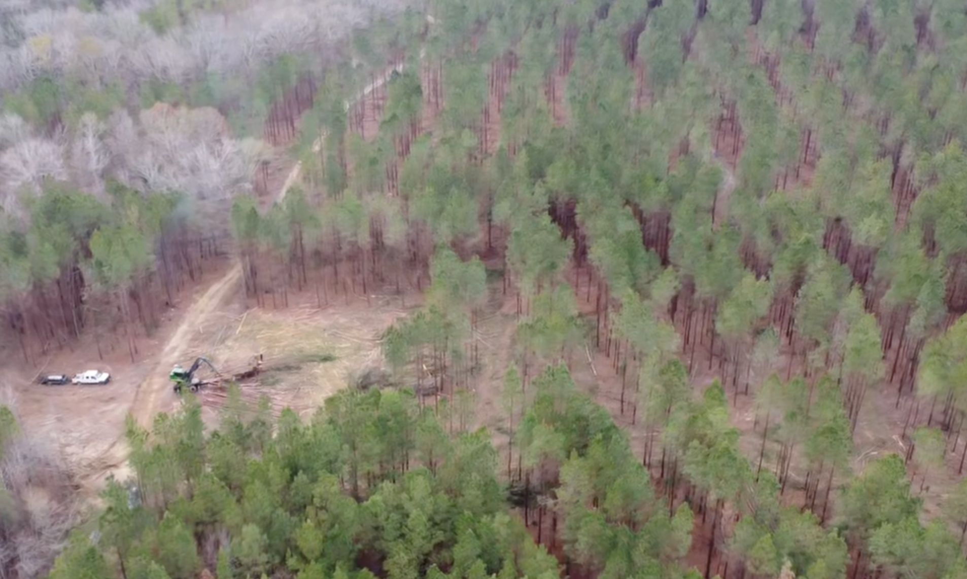 Timber Sales & Marketing