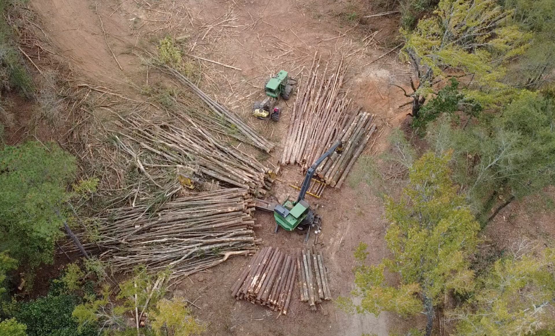 Timber Sales & Marketing