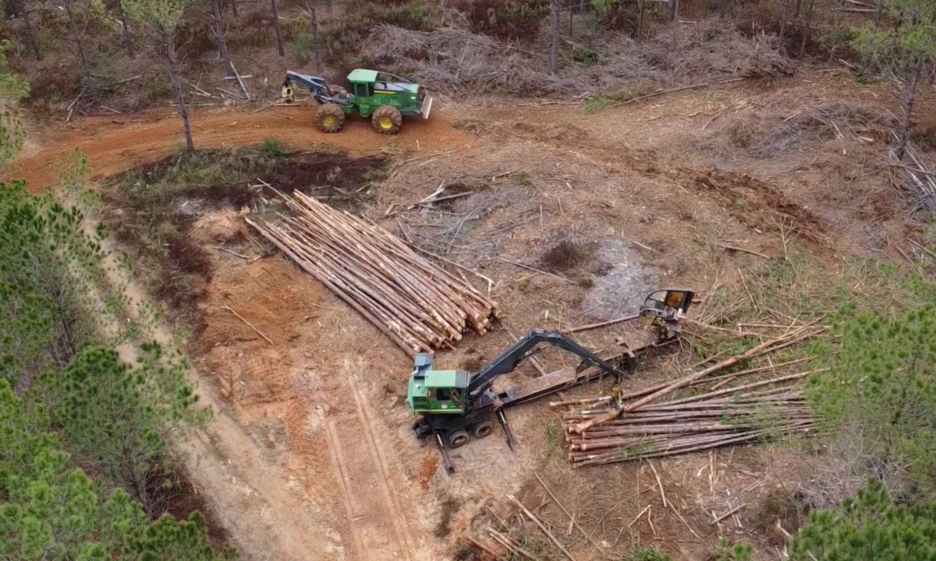 Timber Sales & Marketing