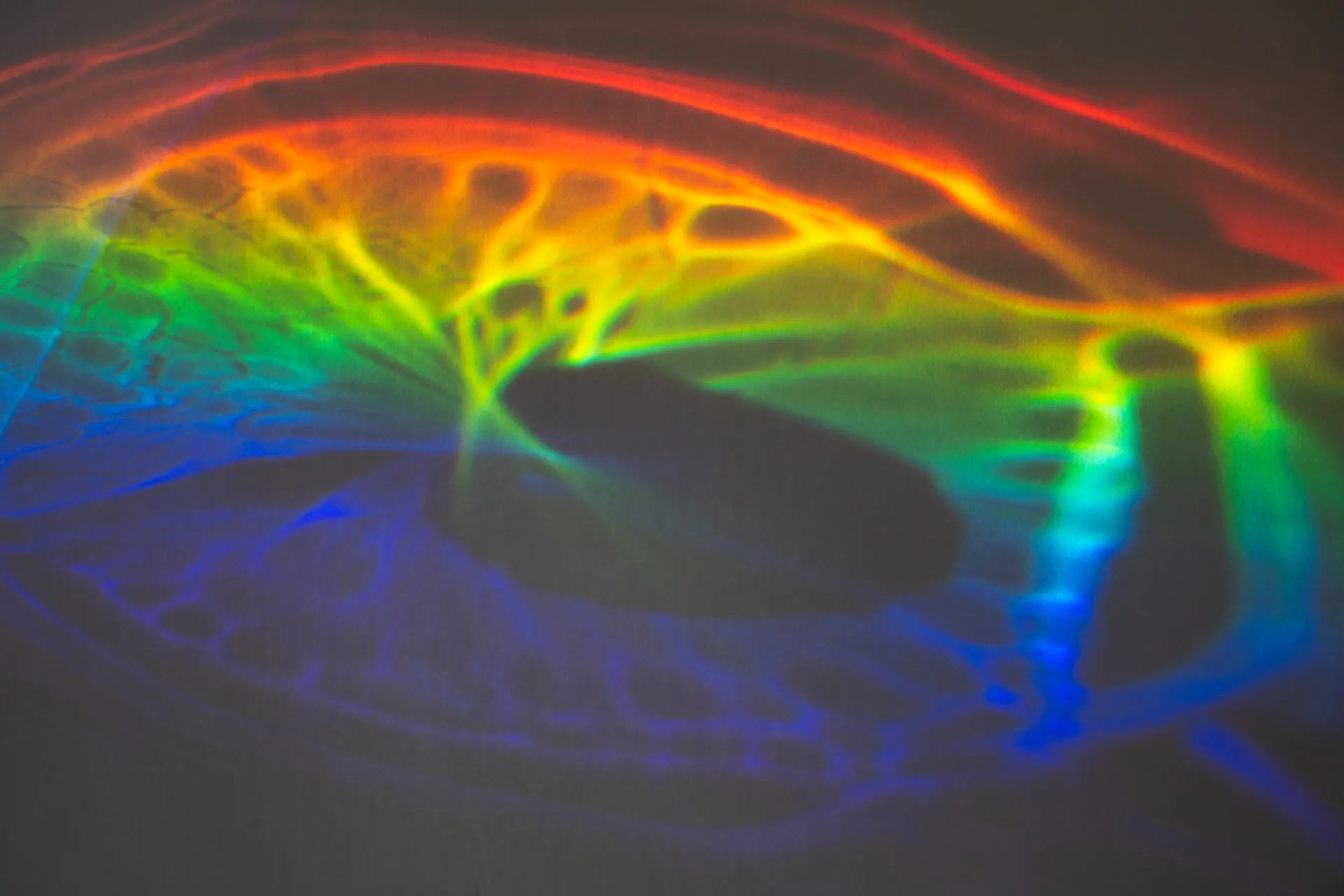 Ancillary Imaging