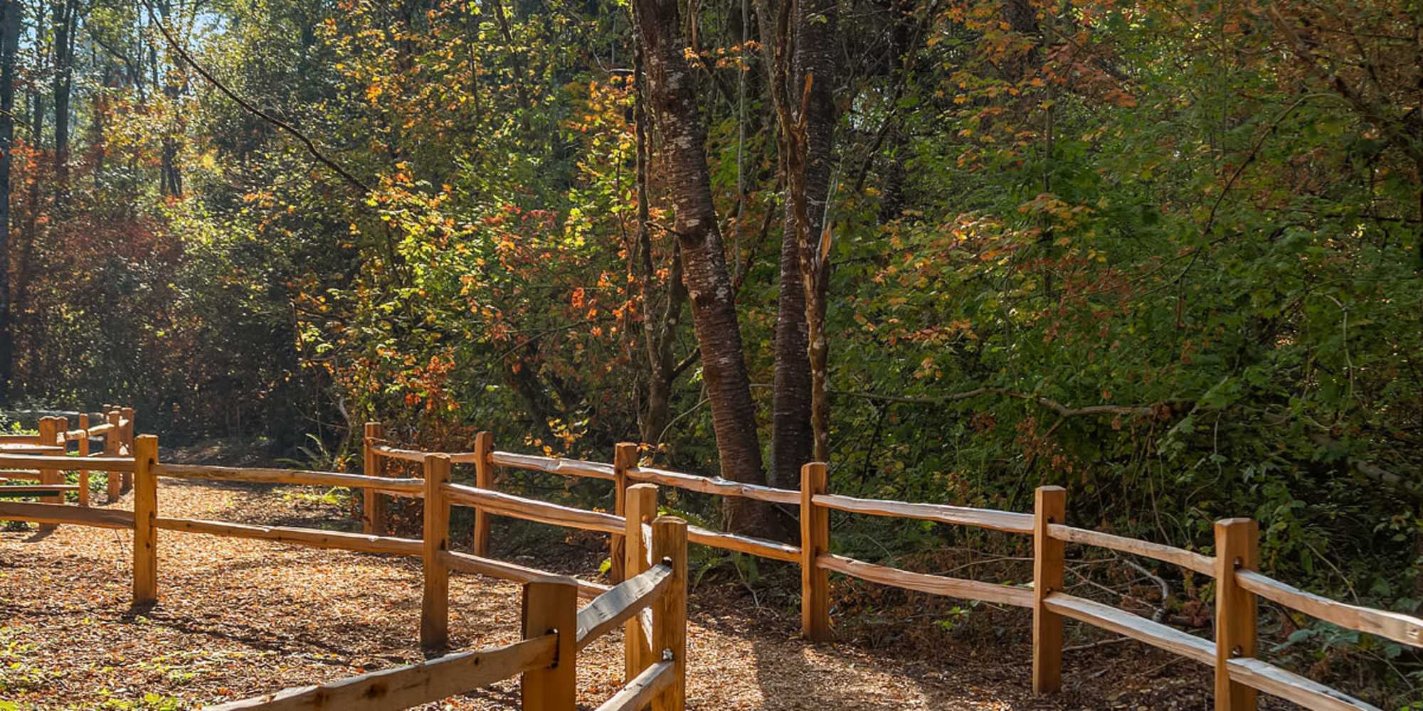 Walking trail