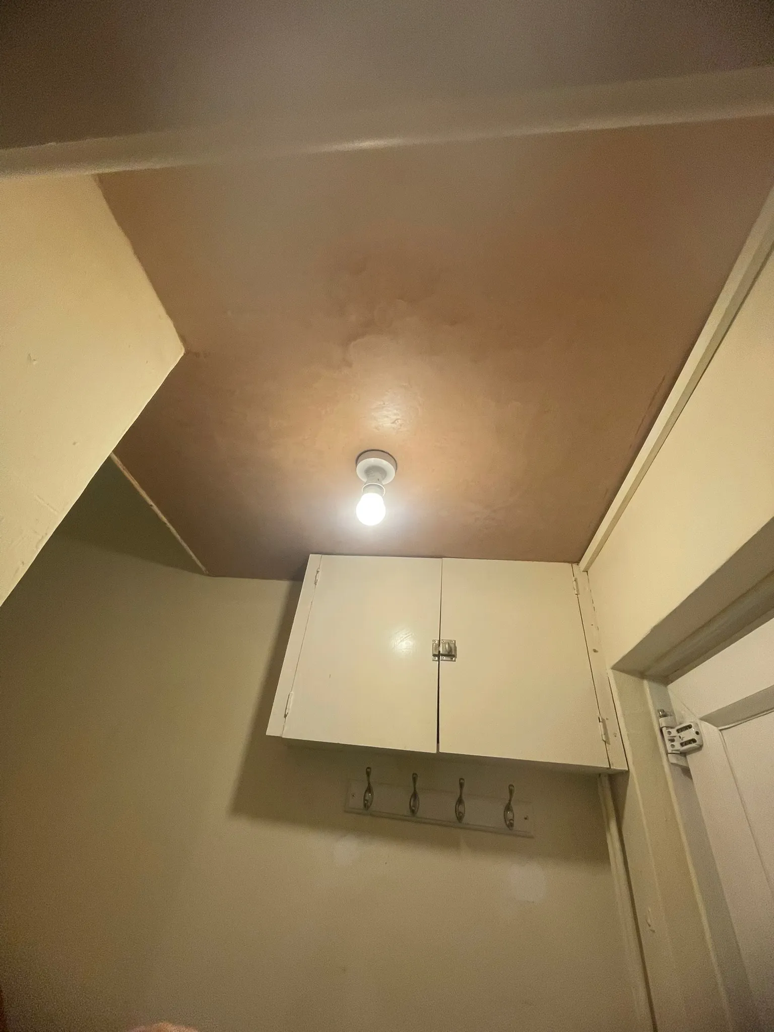 Plastered ceiling