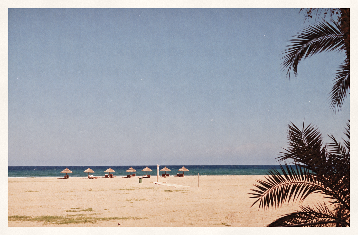 Empty beach with thatched parasols and a palm frond