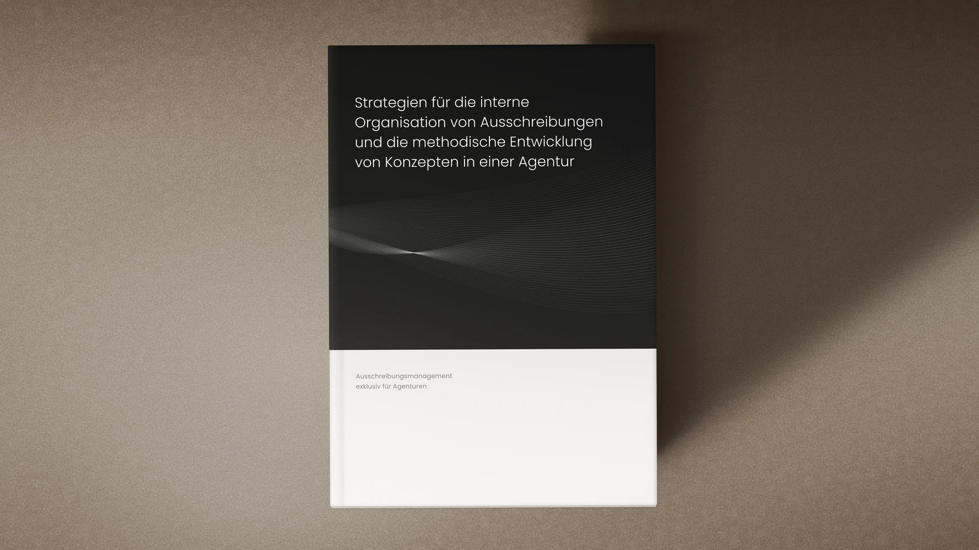 Titelseite des Reports zur internen Organisation von Ausschreibungen