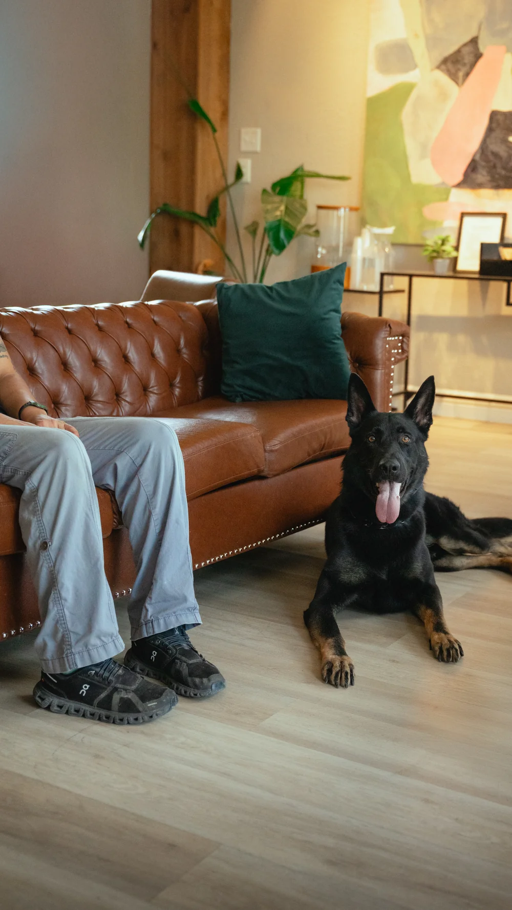 CPI German Shepherd protection dog resting beside a leather sofa at home