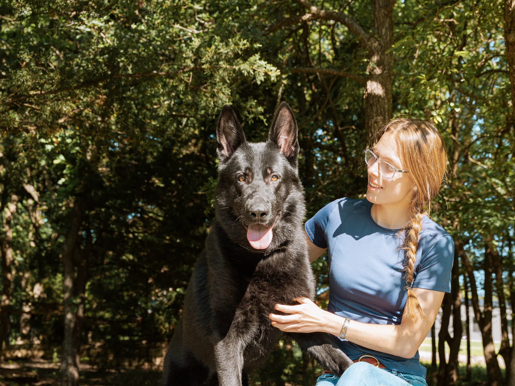 Abby with a CPI German Shepherd outdoors