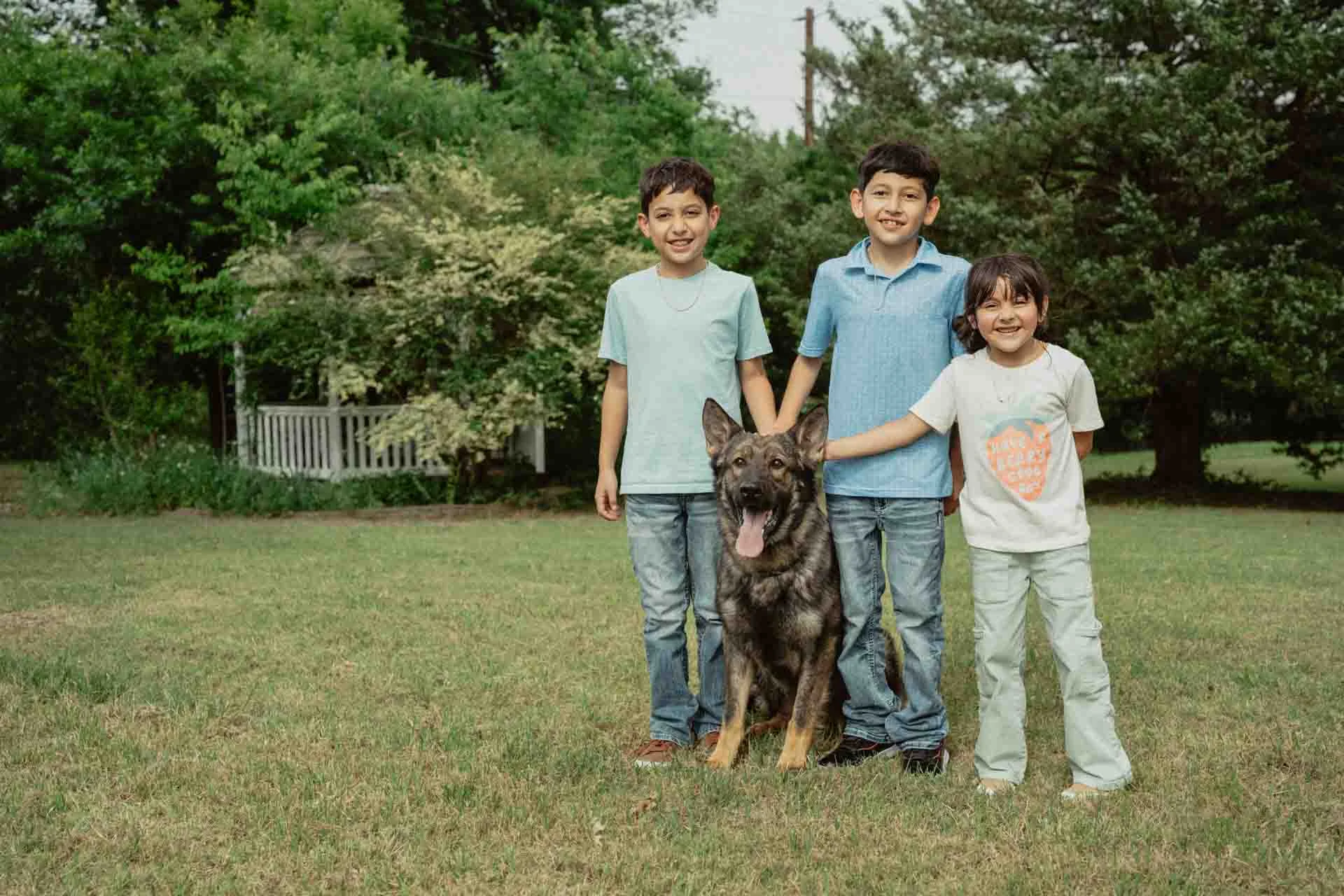 Bono, CPI protection dog gallery image 2
