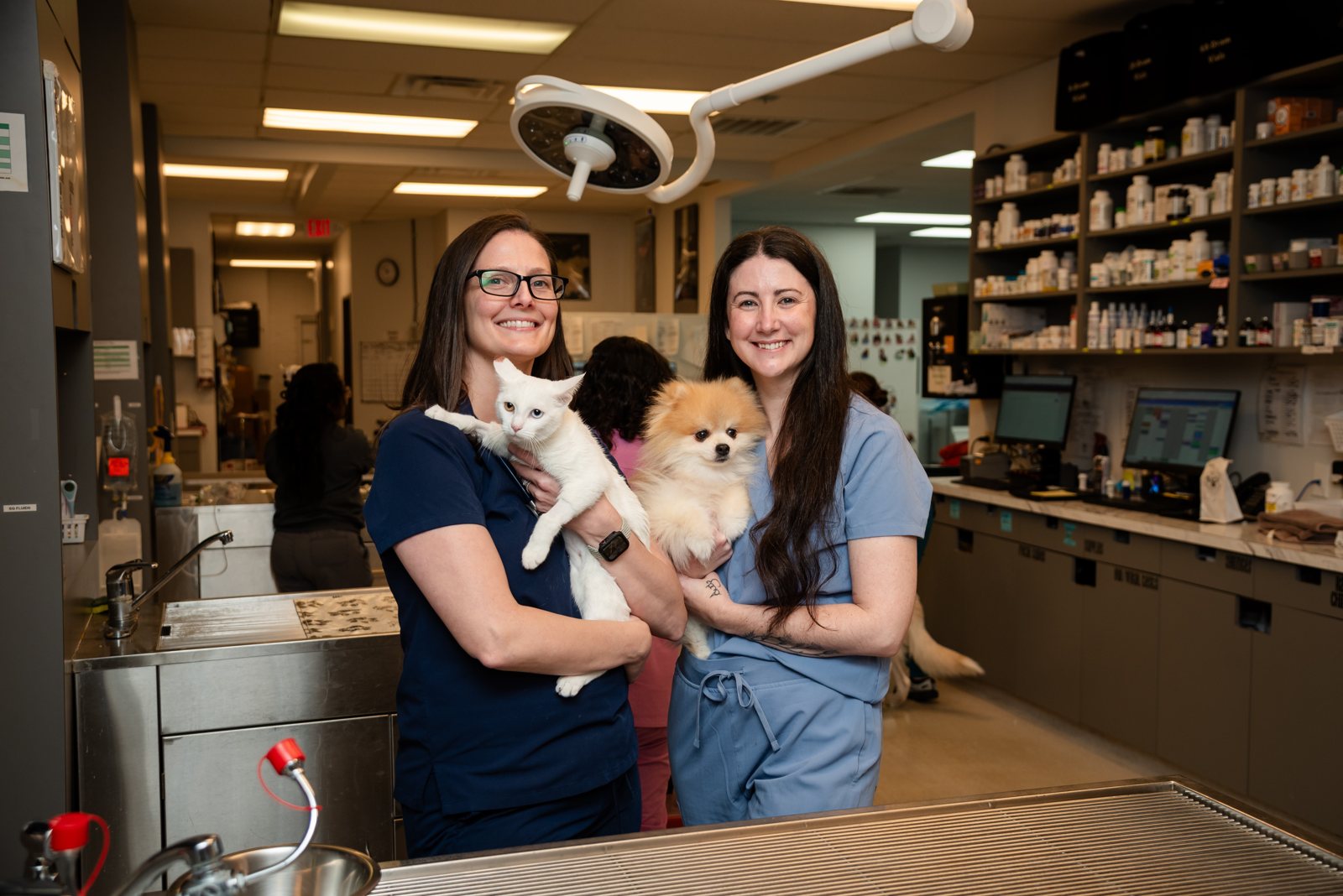 The team greeting patients at a veterinary clinic client