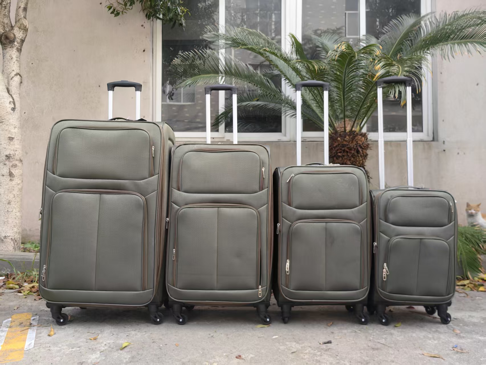 Group of grey spinner trolley cases in different sizes