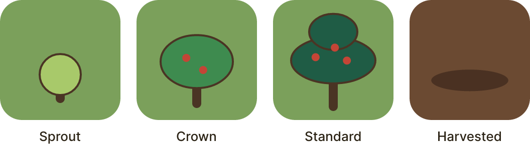 The three tree heights in order: sprout, crown and standard
