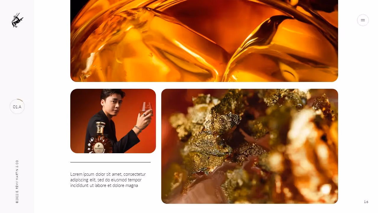 Extrait d'une présentation Powerpoint pour Rémy Martin by mprez