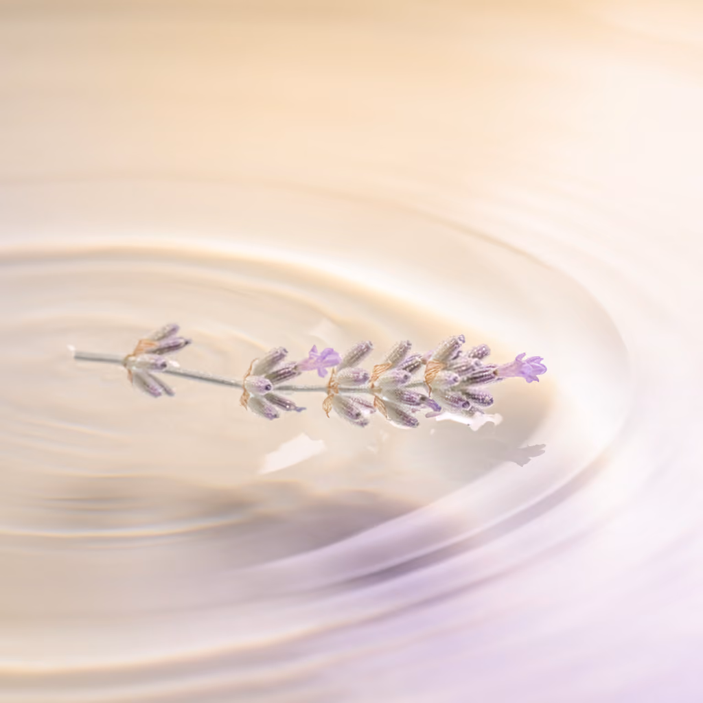Lavendelzweig mit lila Blüten schwimmt auf einer sanft gekräuselten Wasseroberfläche