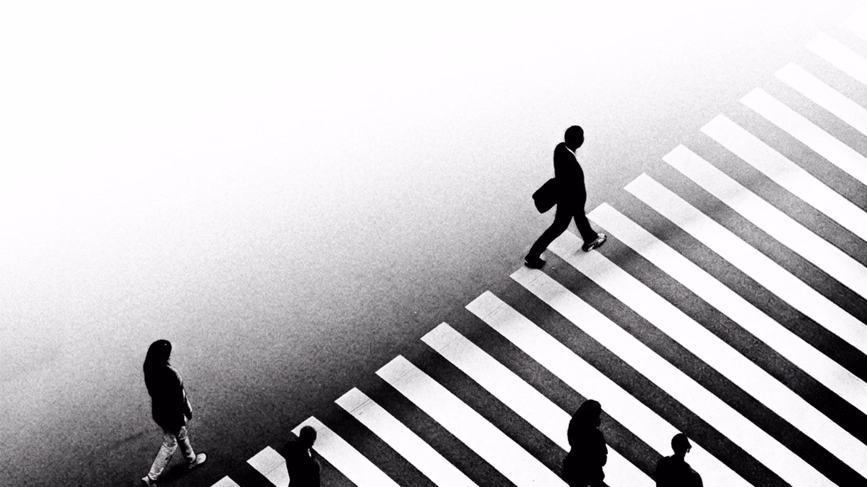 Silhouettes of people crossing a large zebra crosswalk in black and white with strong contrast.