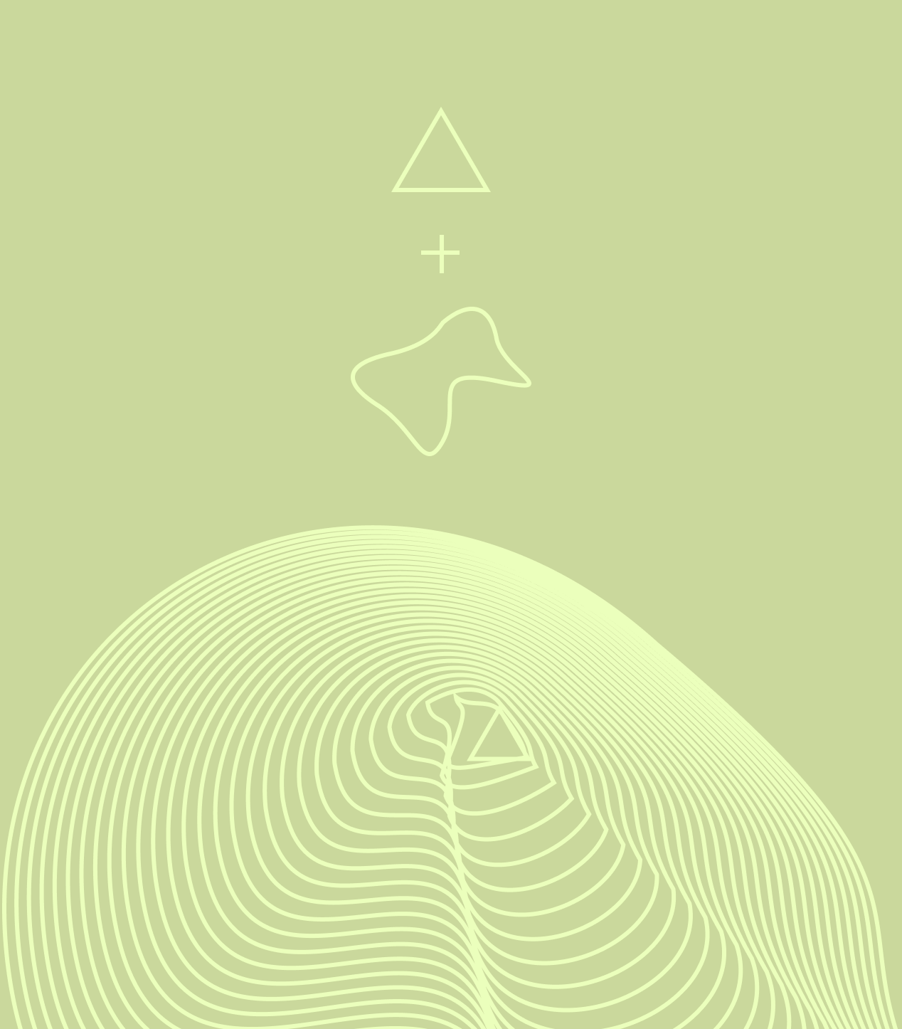 Shan Shan identity with topographic contour patterns and tea tin packaging
